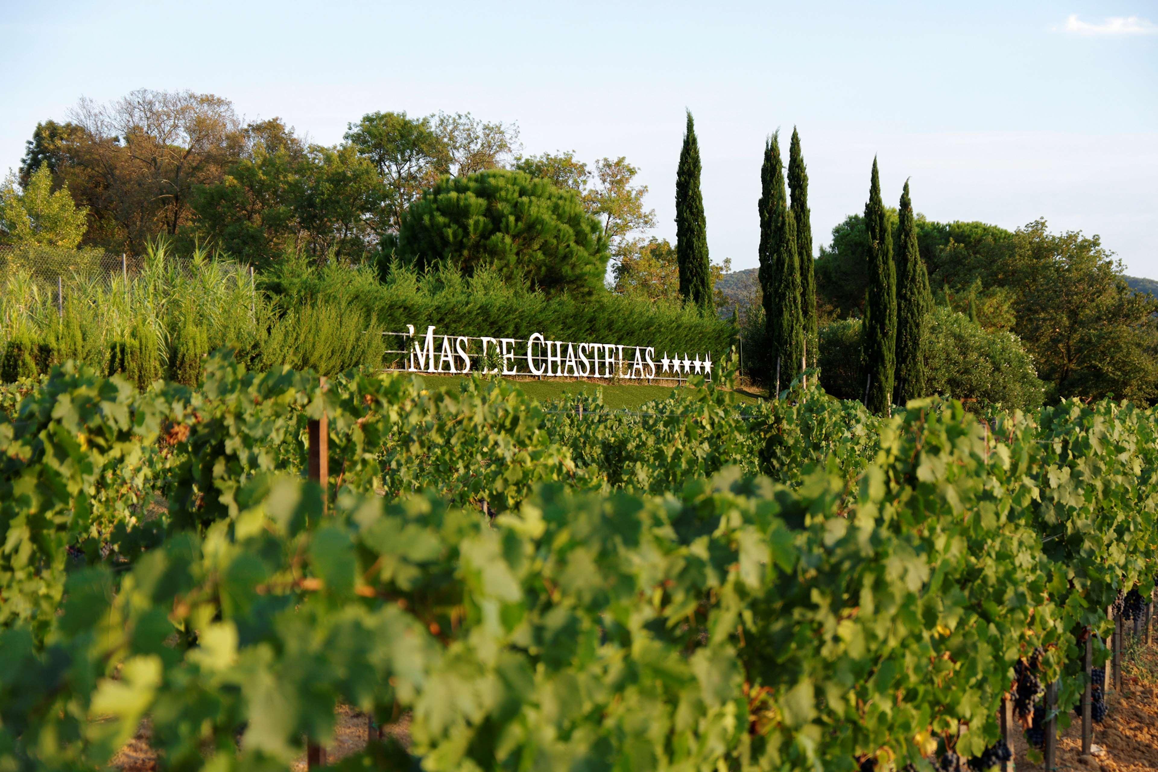 Mas De Chastelas Gassin Exterior photo